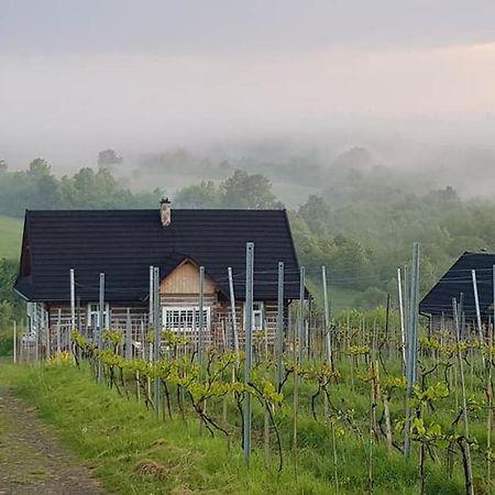 Utopia Dom Przy Winnicy Nowica Buitenkant foto