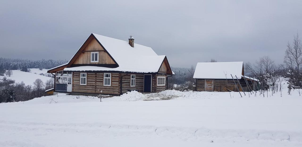 Utopia Dom Przy Winnicy Nowica Buitenkant foto